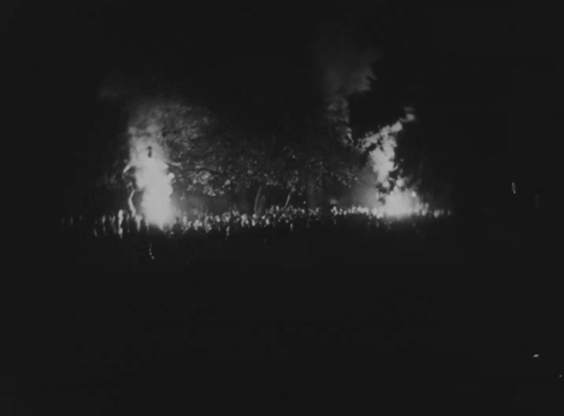 Two fires surrounded by a large crown burn in a park with trees in a grayscale image.