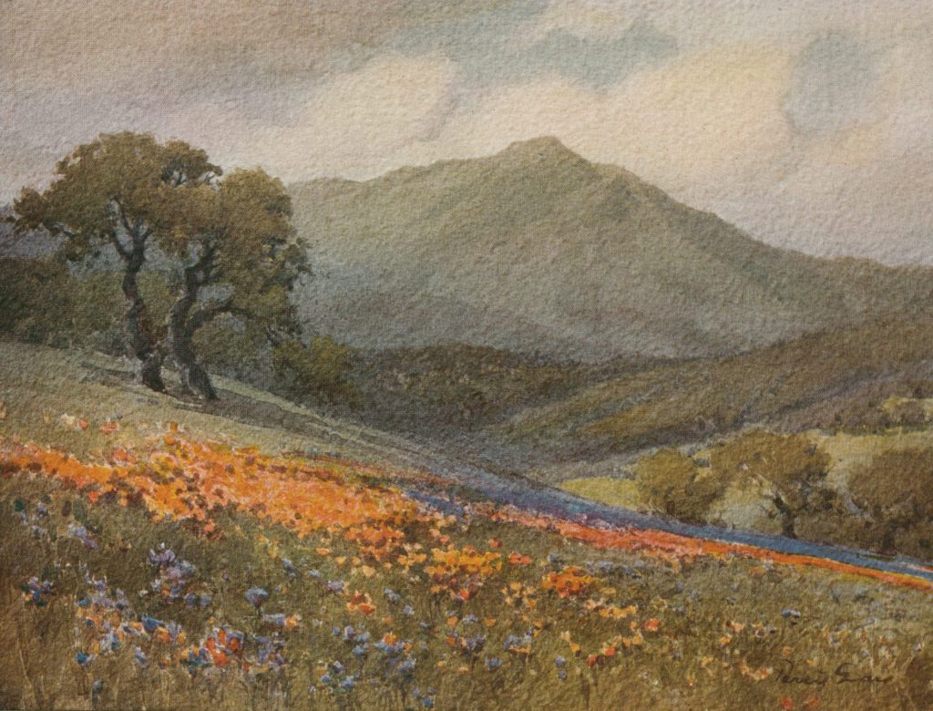 From the water color painting by Percy Gray. Shows flowers in front of Mt. Tamalpais Marin County